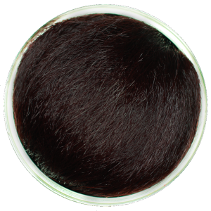 • DREDY • SYNTETYCZNE Z PĘDZELKIEM #33